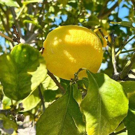 Villa 'villa Xenia' Hg25 - Relax And Enjoy The Golf *