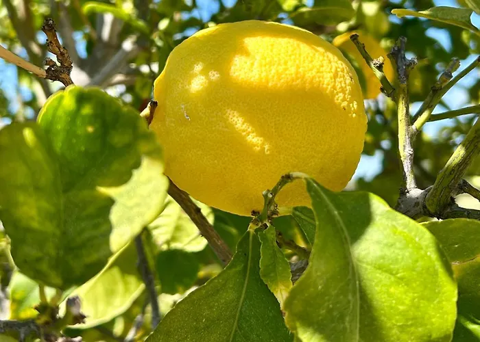 Villa 'villa Xenia' Hg25 - Relax And Enjoy The Golf *